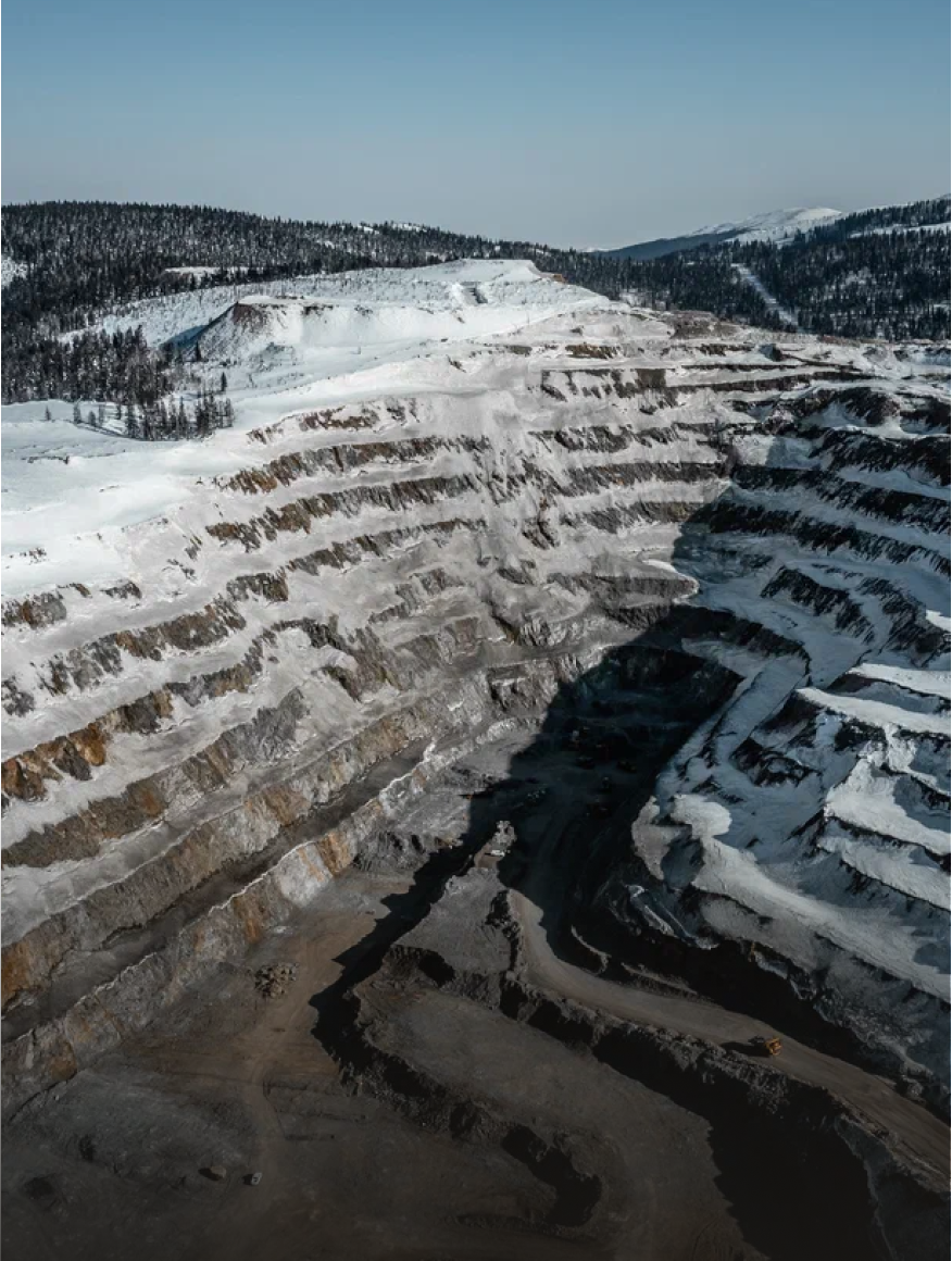 Многовершинное